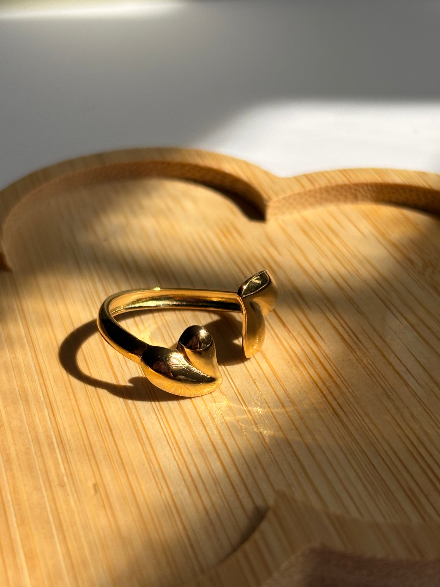 Amor dual