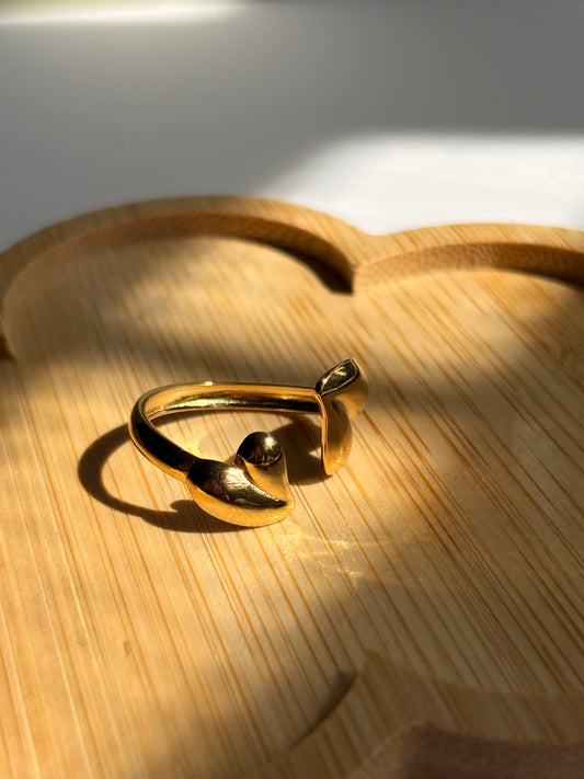 Amor dual